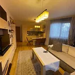 Nikol 3 Club Bor Apartment *