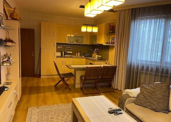 Apartment Nikol 3 Club Bor *