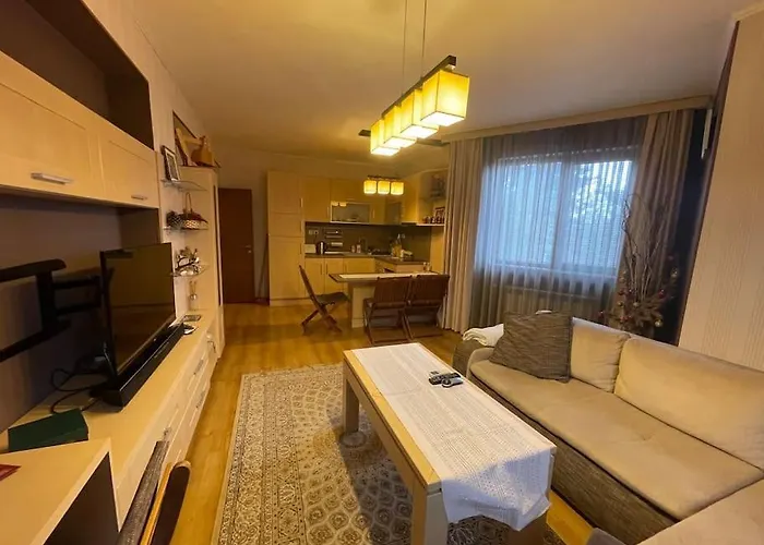 Nikol 3 Club Bor Apartment *